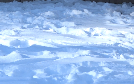 Student prepares for snow storm while living alone